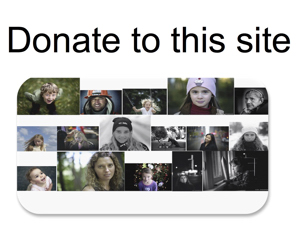 Donate to this site (button)