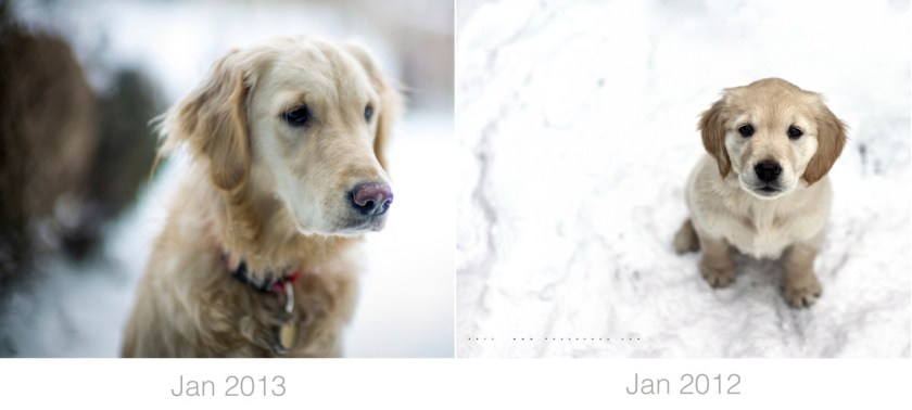 Honey Jan 2013, 2012