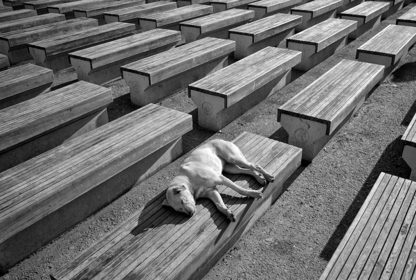 AcuityColorGrain 002