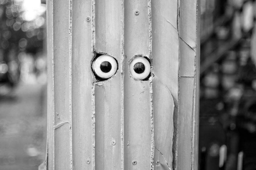 AcuityColorGrain 011