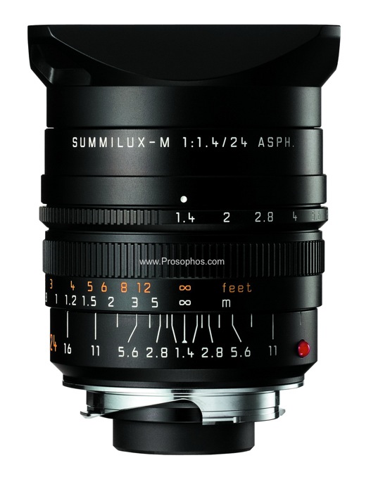 Prosophos - Leica 24mm Summilux
