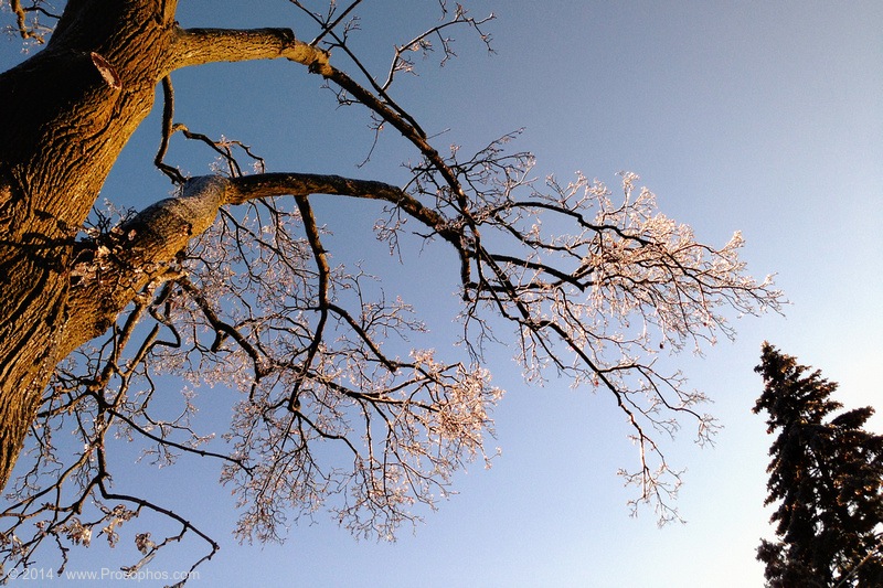 Yearning for the Frozen Touch