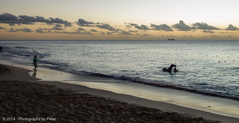 About a horse (cinematic)