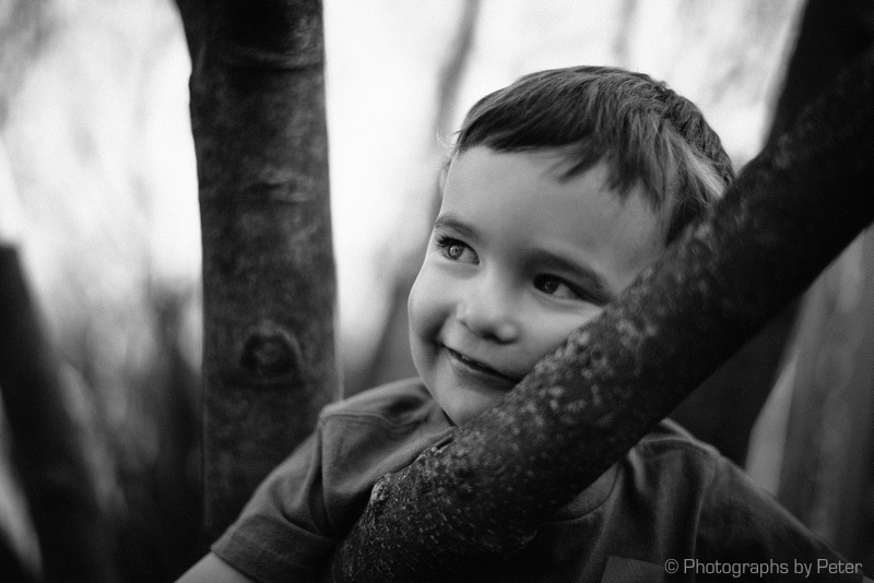 Tree Portrait, Part 2