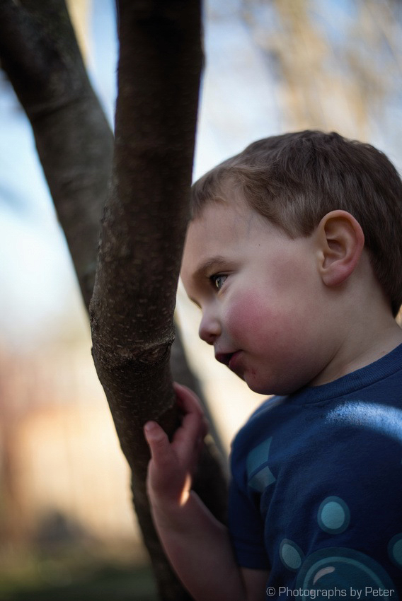 tree-portrait-part-3