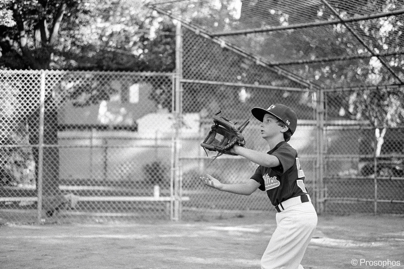 Composition and Concentration 2