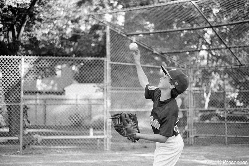 Composition and Concentration 3