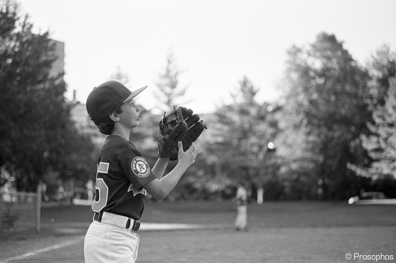 Composition and Concentration 7