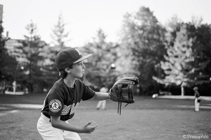 Composition and Concentration 8