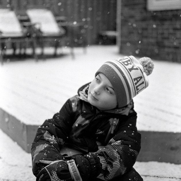 The Prince of Snow, Revisited