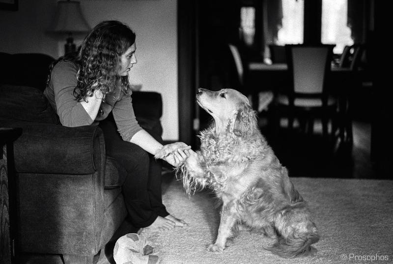 Honey pleading her case