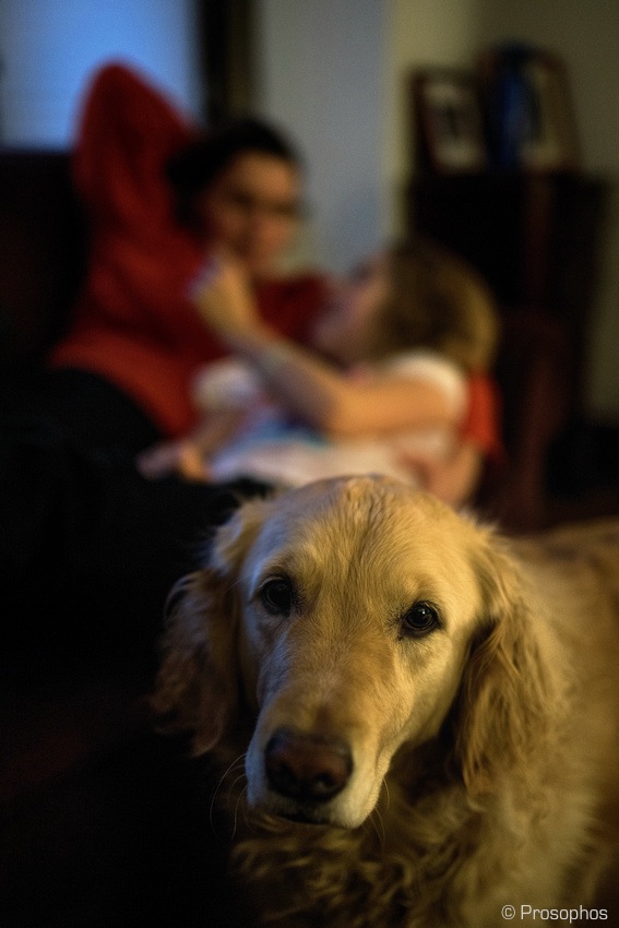 The Furry Photo-Bomber