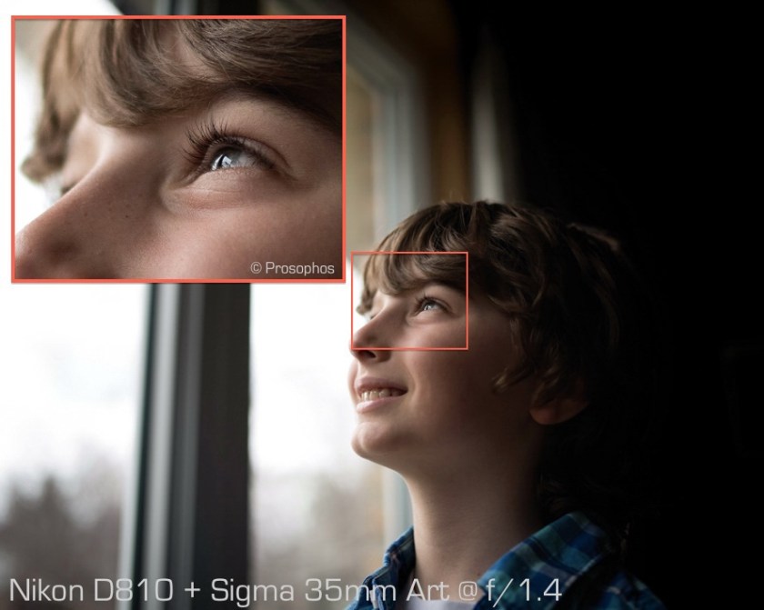 Up (central magnification - Nikon D810 and Sigma 35mm ART at 1.4)