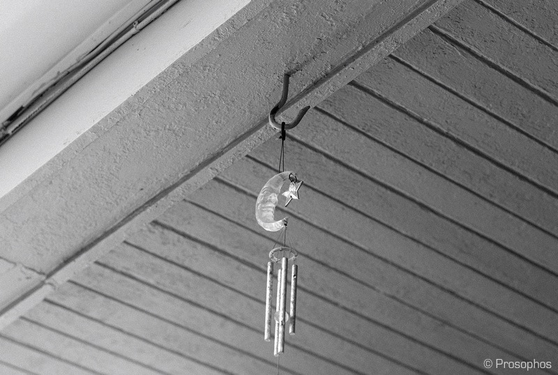 Prosophos - M8 and 75 Summarit (2)