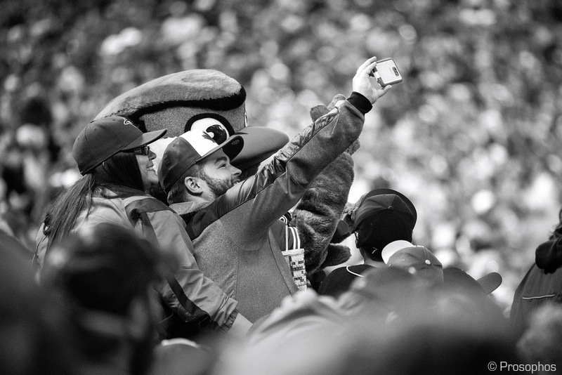The Stadium Selfie