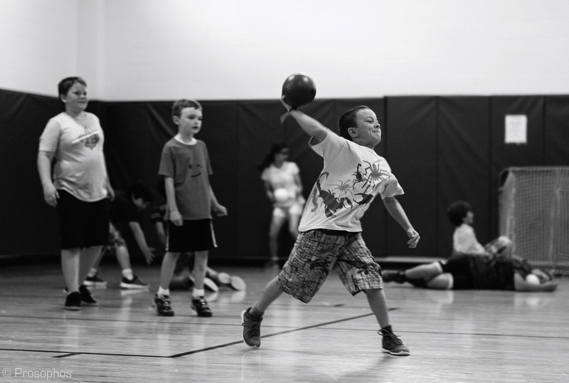 The Dodge Ball Chronicles 10