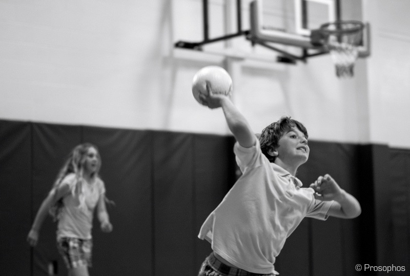 The Dodge Ball Chronicles 14