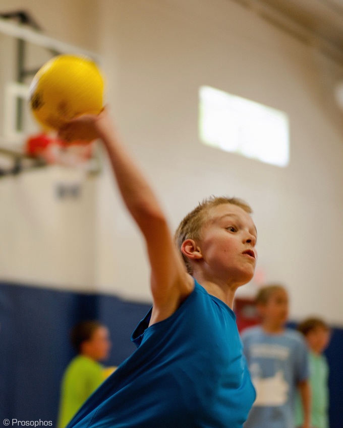 The Dodge Ball Chronicles 7