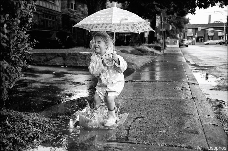 Staying Dry - Prosophos