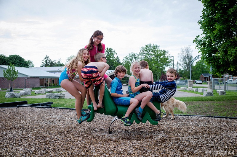 The 7-headed, furry-tailed monster in the park