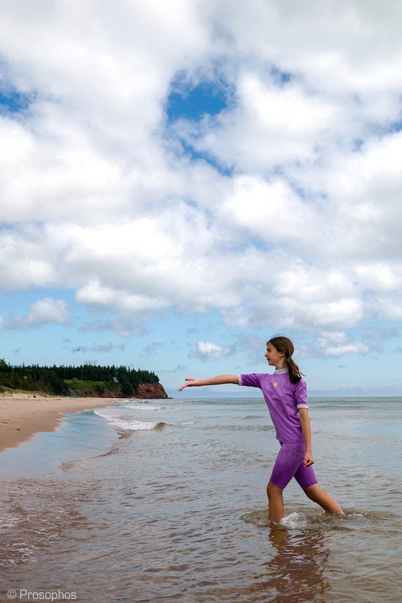 The Beach (Prince Edward Island) 7