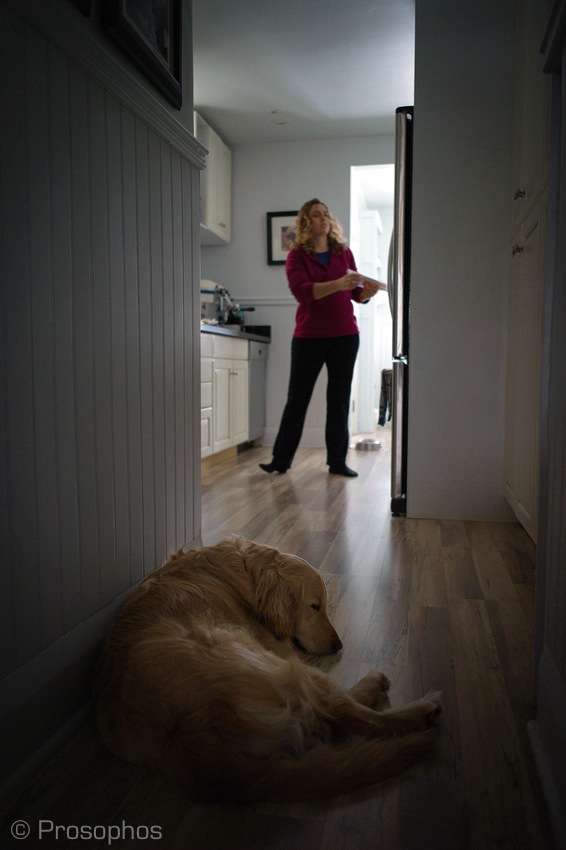 A day in the (busy) life