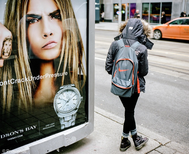 the-lion-and-the-lioness