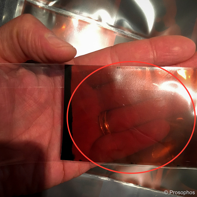 mamiya-6-prosophos-first-test-shot-on-portra-400