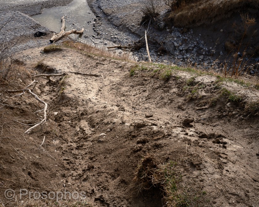 Sunday 3 - Prosophos - Fuji Fujifilm GFX 100S - GF 50mm f3.5