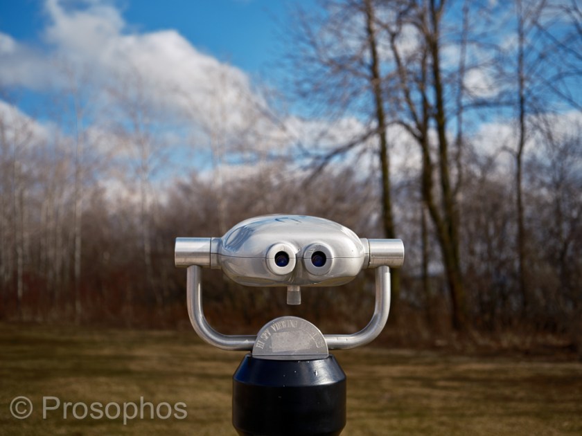 Sunday 4 - Prosophos - Fuji Fujifilm GFX 100S - GF 50mm f3.5