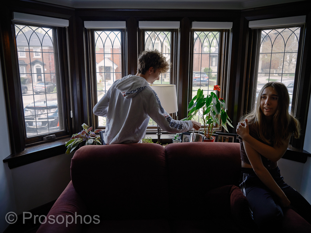 Any Given Saturday - Prosophos - Fuji Fujifilm GFX 100S - GF 32-64mm f4