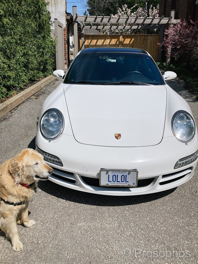 LOLOL - Prosophos - iPhone