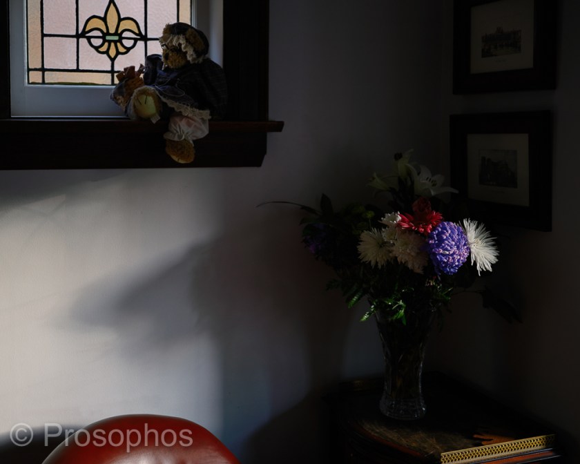 Still Life - Prosophos - Fuji Fujifilm GFX 100S - GF 50mm f3.5