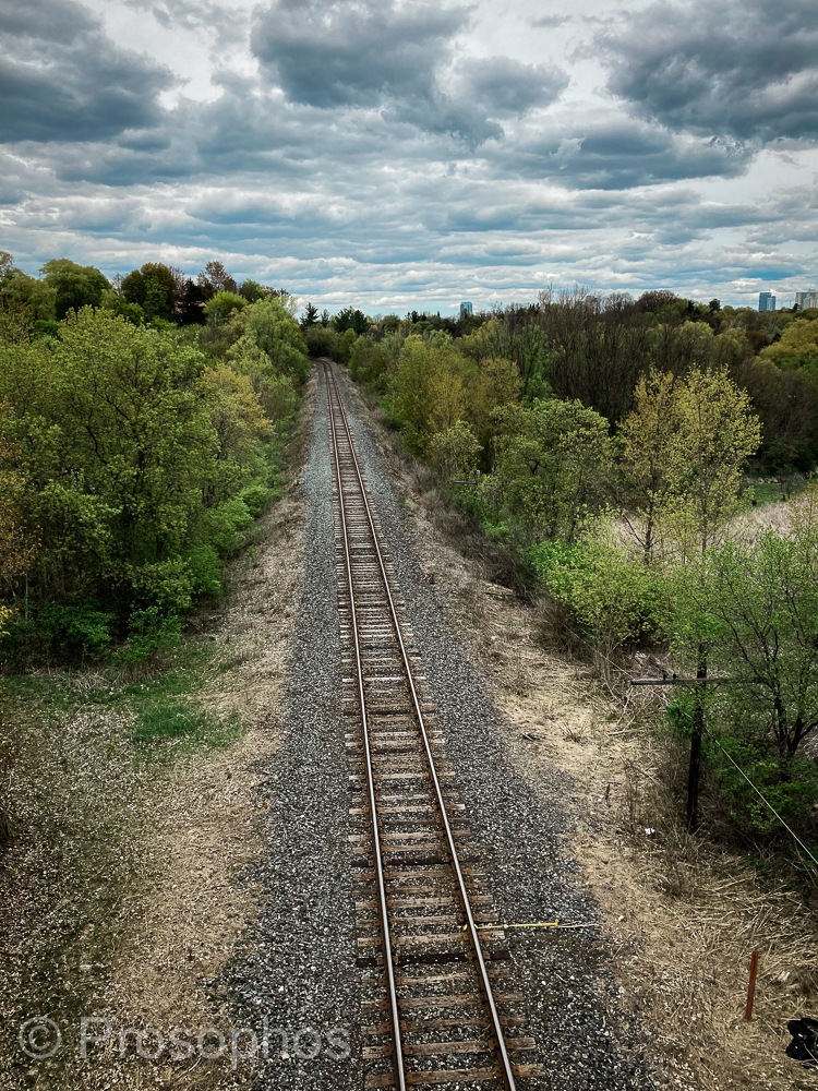 Tracks - Prosophos - iPhone