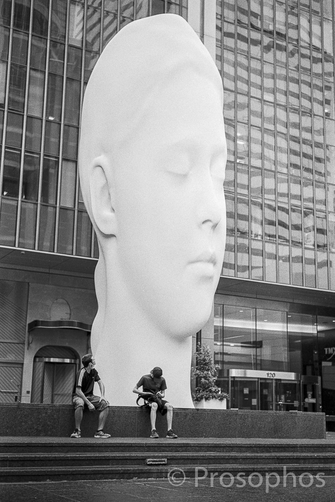 "↑" - Prosophos - Leica M3 - Voigtlander 50mm Nokton 1.5 II - Kodak Tri-X 400