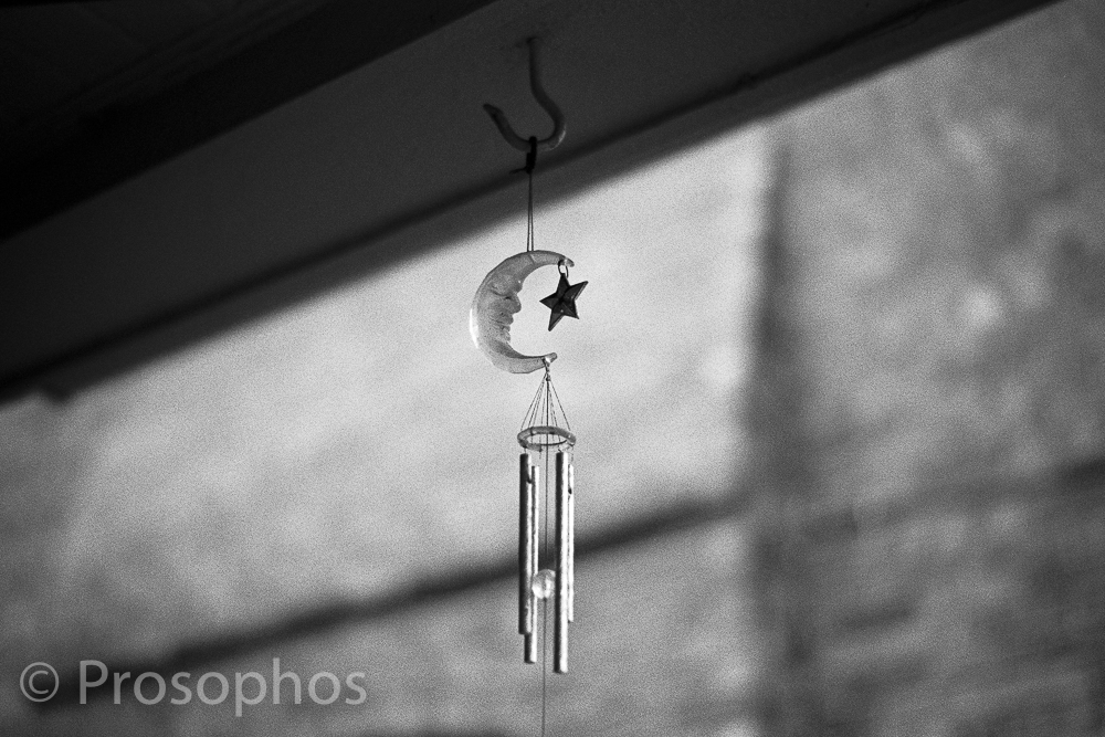 "Momentos of a Gloomy Day at Home, 2" - Prosophos - Leica M3 - Voigtlander 50mm Nokton 1.5 II - Kodak Tri-X 400