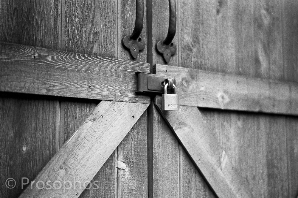 "Momentos of a Gloomy Day at Home, 3" - Prosophos - Leica M3 - Voigtlander 50mm Nokton 1.5 II - Kodak Tri-X 400