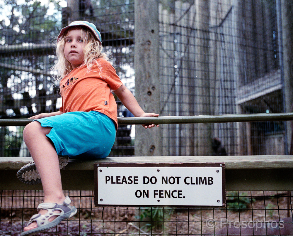 The sitting on the fence portrait - Prosophos - Leica MP - 35mm Summicron ASPH - Fuji Superia X-tra 200